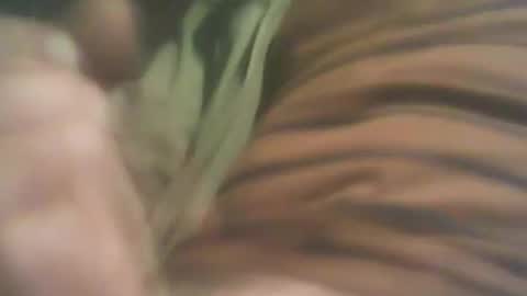 Snapshot of bandapart chatting on 8, 9, 2025 bandapart online show from 8, 9, 2025