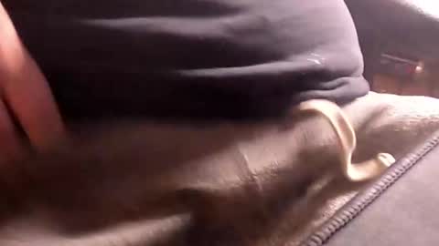 Snapshot of bankhank chatting on 3, 10, 2025 Wank Hank online show from 3, 10, 2025