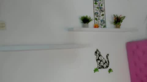 Barbie Hills online show from 20, 11, 2025