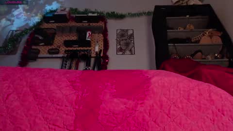 barbaraviciosa online show from 6, 1, 2025