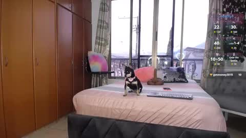 Snapshot of barbiefoxx chatting on 10, 1, 2026 Barbiefoxx online show from 10, 1, 2026