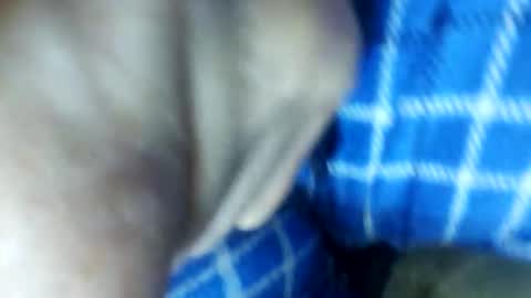 barbitall online show from 15, 11, 2025