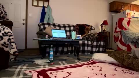 barelybehavedbarbie online show from 23, 4, 2026
