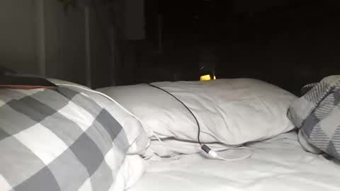 nevametafreaklikemeb4 online show from 24, 3, 2026