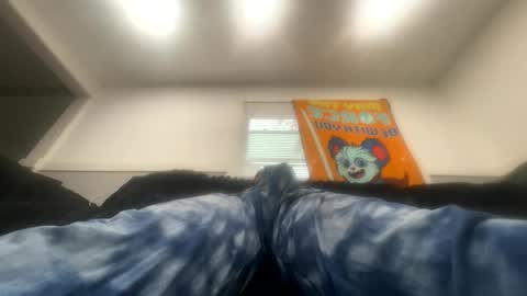 Barney online show from 15, 10, 2025