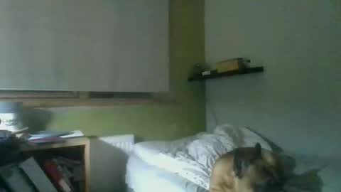 bart_poland online show from 23, 10, 2025