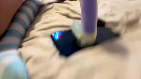 bathingcat online show from 27, 11, 2025