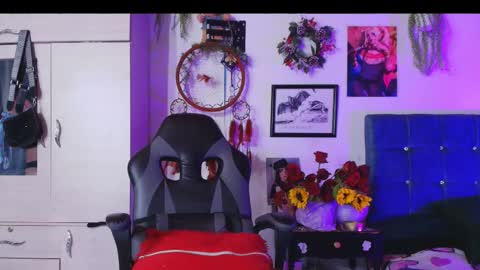    online show from 17, 11, 2025