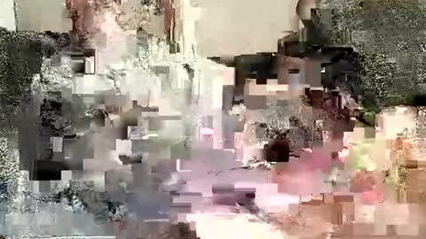 Batman online show from 2, 1, 2025