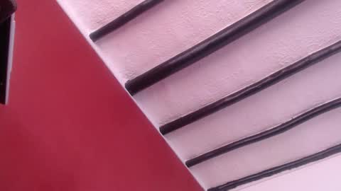 bayonette_black online show from 13, 12, 2024