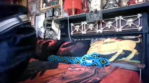 Bazza online show from 18, 2, 2026