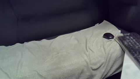 bbc_highness online show from 21, 2, 2025