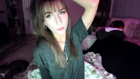Snapshot of bbshasta chatting on 1, 6, 2026 Shasta online show from 1, 6, 2026
