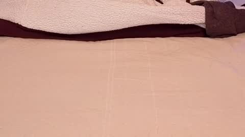 Love online show from 27, 11, 2025