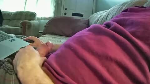 bcema2 online show from 9, 1, 2025