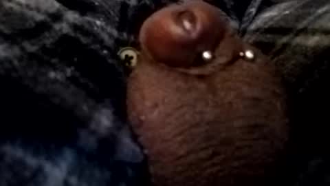 bcfalcon69 online show from 26, 2, 2026