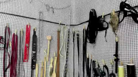 Meduza  online show from 20, 2, 2026