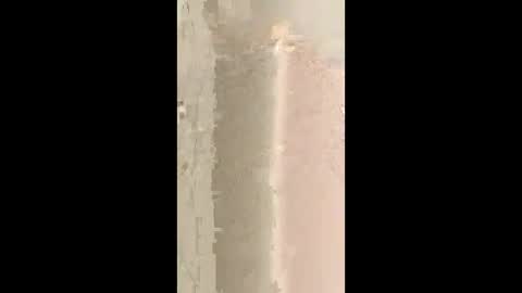 Snapshot of bdsmcutiepue chatting on 10, 6, 2026 bdsmcutiepue online show from 10, 6, 2026