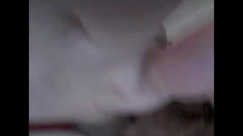 bear14250949 online show from 14, 11, 2025