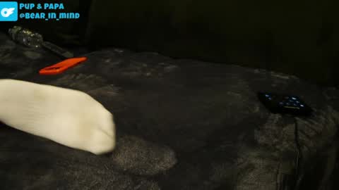 Snapshot of bear_in_mind chatting on 22, 4, 2026 BareBear online show from 22, 4, 2026