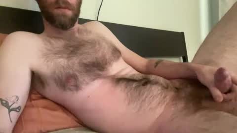 beardedchester online show from 9, 12, 2024