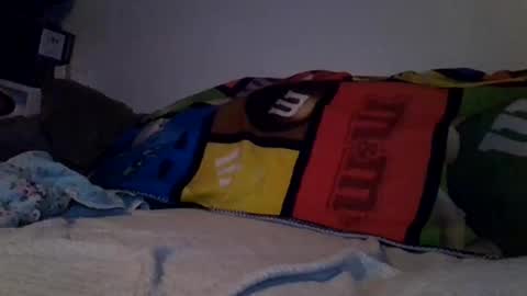 beatlebut online show from 24, 2, 2026