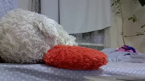 BeatriceTender online show from 2, 3, 2025