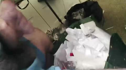 Snapshot of beenallover92 chatting on 22, 1, 2025 beenallover92 online show from 22, 1, 2025