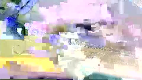 Snapshot of beencee2 chatting on 9, 3, 2026 beencee2 online show from 9, 3, 2026