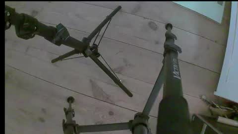 Snapshot of beginner96 chatting on 3, 12, 2025 Mia online show from 3, 12, 2025