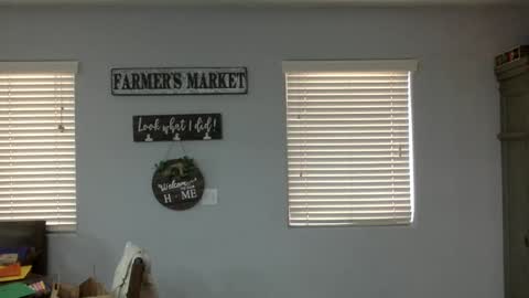 Beginners Luck online show from 12, 10, 2025