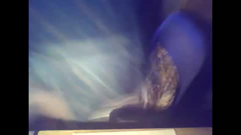 Snapshot of bekklove1 chatting on 9, 2, 2025 bekklove1 online show from 9, 2, 2025