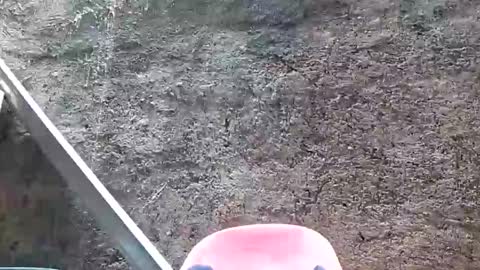 Tezza online show from 28, 2, 2025