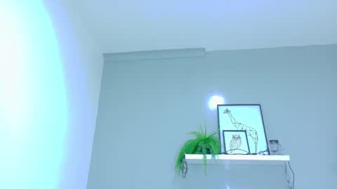 BELA online show from 20, 11, 2025