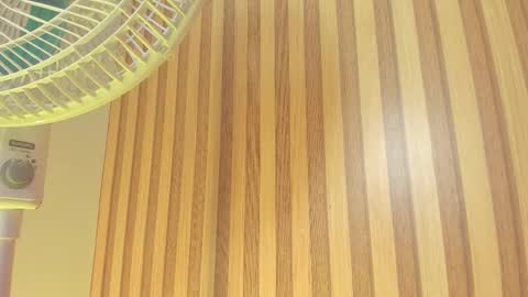 Melanie  online show from 13, 2, 2026