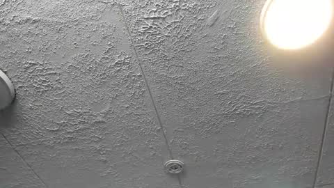 Snapshot of bella_lane_ chatting on 4, 12, 2025 Bella online show from 4, 12, 2025