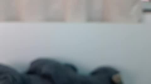 Snapshot of bellacrystall chatting on 21, 6, 2026 bellacrystall online show from 21, 6, 2026