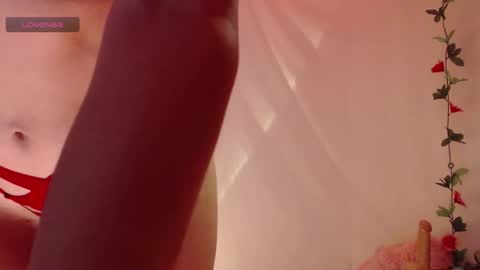 Belladonna  online show from 25, 11, 2025