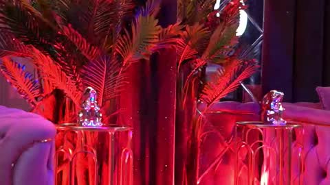 Bella online show from 9, 2, 2026