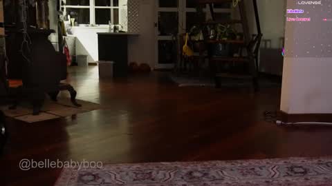 BELLE   online show from 15, 2, 2026