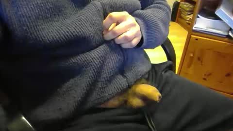 Snapshot of bemichel chatting on 21, 4, 2026 jaimetout online show from 21, 4, 2026