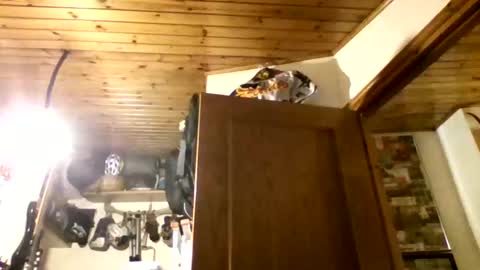 Snapshot of bernichaos77 chatting on 21, 2, 2026 bernichaos77 online show from 21, 2, 2026