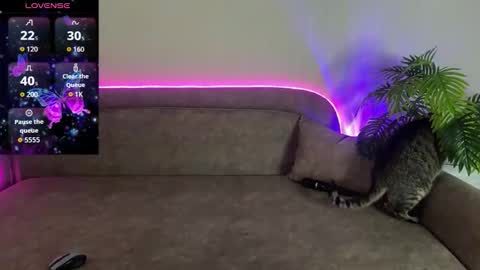 Snapshot of bestteya chatting on 12, 4, 2026 Teya online show from 12, 4, 2026