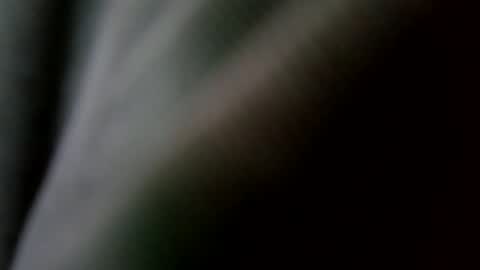 Snapshot of betohola chatting on 20, 2, 2025 Betco online show from 20, 2, 2025