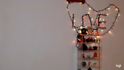 innasugarwild online show from 2, 2, 2026