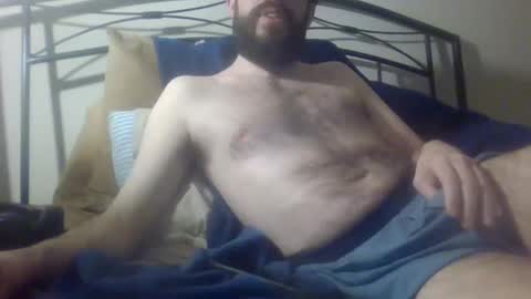 bibotguy online show from 7, 12, 2024