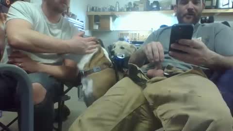 bicboy007 online show from 8, 3, 2025