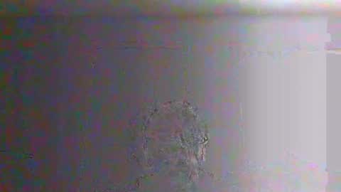 Snapshot of bigalnoone chatting on 26, 3, 2026 bigalnoone online show from 26, 3, 2026