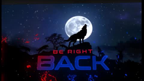 Alcide Herveaux online show from 6, 3, 2026