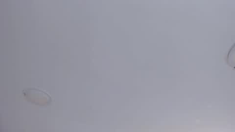   online show from 8, 10, 2025